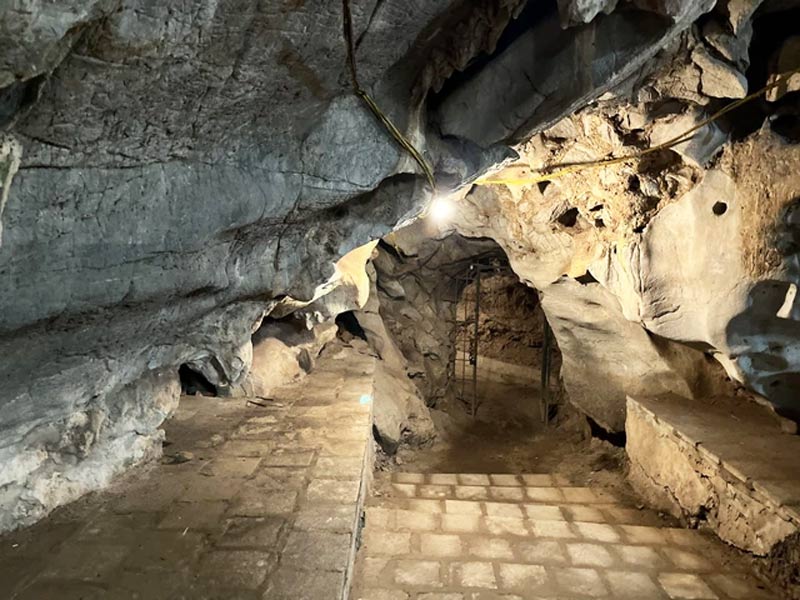 ngu-dong-thi-son-hang-dong