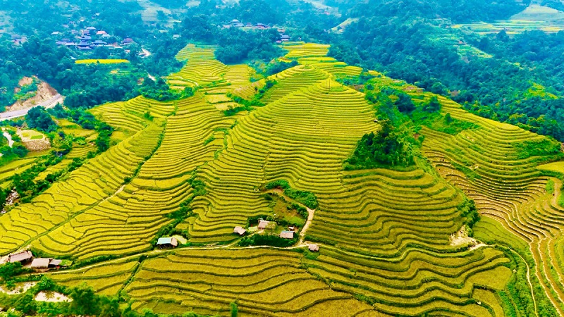 ruong-bac-thang-ha-giang